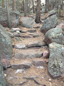 Northwest Streak Trail